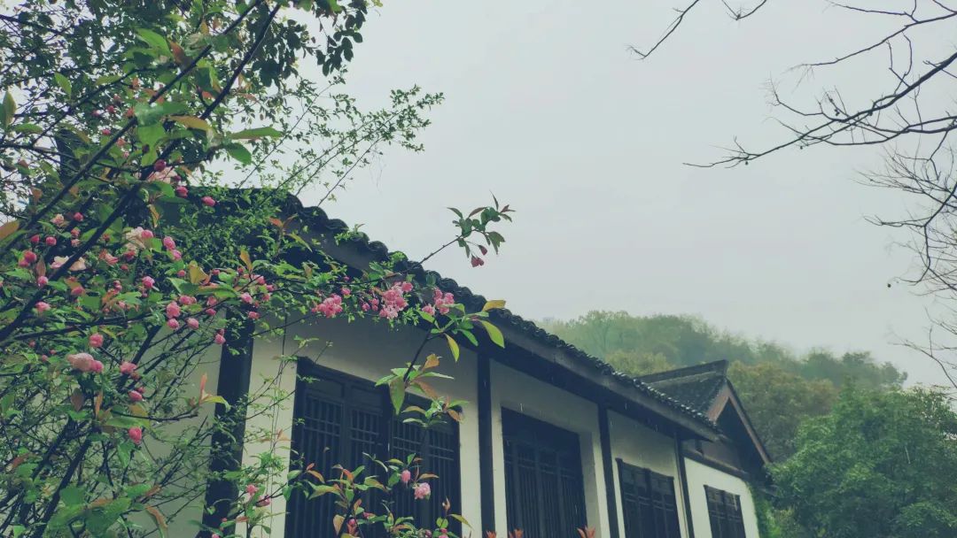 杭州茶書(shū)院?jiǎn)⒛?| 當(dāng)代「韓熙載夜宴」，復(fù)現(xiàn)中國(guó)文人雅趣生活插圖16