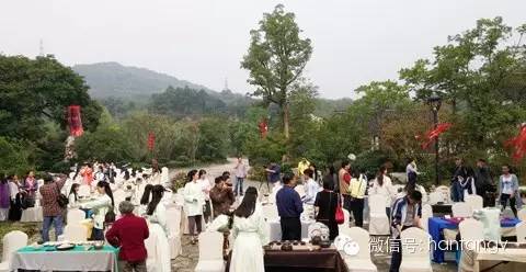 “漢唐杯”生活茶席設(shè)計(jì)比賽佳作頻出，完美落幕插圖